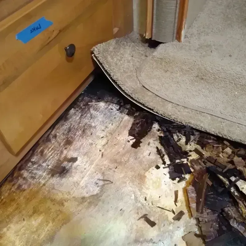 Wood Floor Water Damage in Clearwater, SC